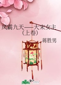 凤霸九天——大宋女主（上卷）