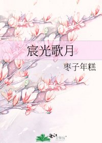 宸光歌月