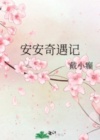 安安奇遇记
